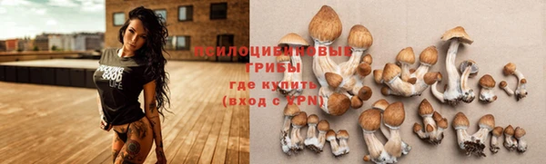 прущая мука Михайлов