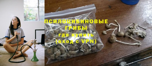 прущая мука Михайлов
